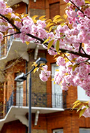 onservatories, conservatory, Buckinghamshire, suppliers, Milton Keynes, UK, Beaconsfield, Doors, Windows, Milton Keynes