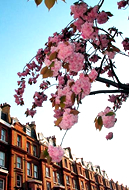 Home PVCu, window, windows, door, doors, conservatory, conservatories, Milton Keynes, MK, Buckinghamshire, New City Windows are the premier supplier of PVCu windows, doors and conservatories in the Milton Keynes (MK), Buckinghamshire area